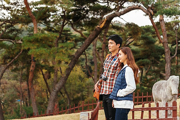 포토 JPG 주간 커플 응시 여자 남자 여행 가방 데이트 서기 미소 사람 상반신 20대 성인 야외 두명 옆모습 울타리 동상 카메라 손잡기 한국인 소나무 국내여행 성인만 세종대왕릉 국내포토 여주시 자연요소 나무 시선 잡화 뷰포인트 관계 모션 표정 동양인 청년 전자제품 담장 조형물 경기도 기념물 왕릉 파일형식 여주_지역