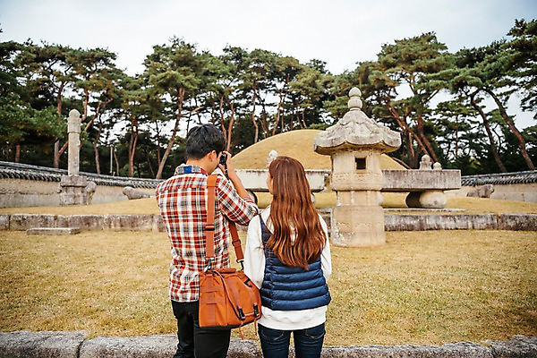 포토 JPG 주간 커플 응시 여자 남자 여행 데이트 서기 사람 상반신 20대 성인 야외 두명 뒷모습 관광지 카메라 사진촬영 한국인 문화재 가을 묘 소나무 국내여행 성인만 세종대왕릉 국내포토 여주시 자연요소 나무 시선 계절 뷰포인트 관계 모션 동양인 청년 전자제품 촬영 경기도 왕릉 파일형식 여주_지역