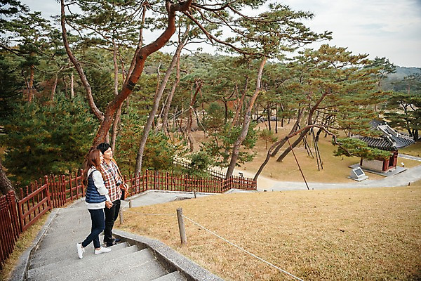 포토 JPG 주간 전신 커플 응시 여자 남자 여행 데이트 미소 사람 잔디 20대 성인 야외 두명 옆모습 관광지 울타리 하이앵글 걷기 계단 손잡기 한국인 문화재 가을 소나무 정자 국내여행 성인만 세종대왕릉 국내포토 여주시 자연요소 나무 식물 건축물 시선 계절 뷰포인트 관계 모션 표정 동양인 청년 담장 경기도 왕릉 파일형식 여주_지역