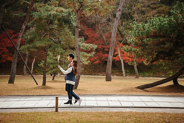 포토 JPG 주간 전신 나무 커플 여자 남자 여행 단풍 데이트 들기 사람 잔디 20대 성인 야외 두명 옆모습 걷기 한국인 가을 억새 국내여행 성인만 세종대왕릉 국내포토 여주시 자연요소 식물 계절 뷰포인트 잎 관계 모션 동양인 청년 경기도 왕릉 파일형식 여주_지역