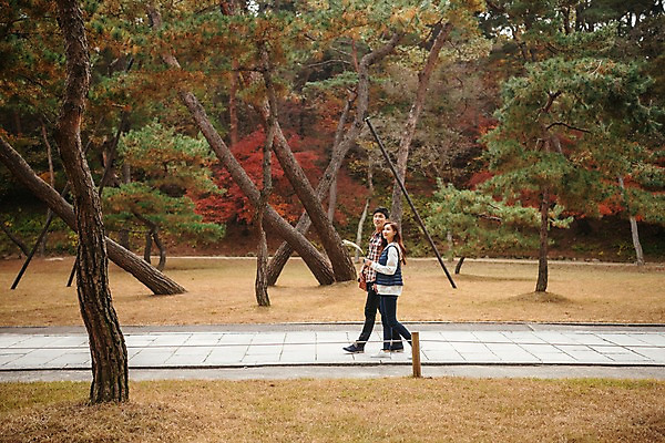 포토 JPG 주간 전신 나무 커플 응시 여자 남자 여행 단풍 데이트 사람 잔디 20대 성인 야외 두명 옆모습 걷기 손잡기 한국인 가을 잡기 보행로 억새 국내여행 성인만 세종대왕릉 국내포토 여주시 자연요소 식물 시선 계절 길 뷰포인트 잎 관계 모션 동양인 청년 경기도 왕릉 파일형식 여주_지역