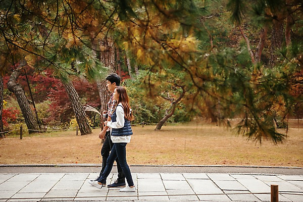 포토 JPG 주간 전신 나무 커플 여자 남자 여행 단풍 데이트 사람 잔디 20대 성인 야외 두명 옆모습 걷기 한국인 가을 잡기 보행로 억새 국내여행 성인만 세종대왕릉 국내포토 여주시 자연요소 식물 계절 길 뷰포인트 잎 관계 모션 동양인 청년 경기도 왕릉 파일형식 여주_지역