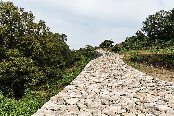 포토 JPG 주간 나무 구름 여행 하늘 사람없음 야외 국내여행 돌길 파사성 국내포토 여주시 자연요소 식물 길 성 경기도 파일형식 여주_지역