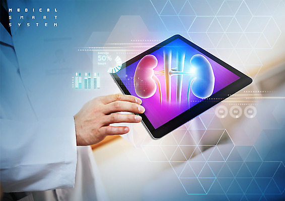 PSD 편집이미지 손 남자 신체 의학 그래프 한명 사람 성인 신체부위 스마트기기 태블릿 의사 의사가운 장기 스마트 시스템 성인남자한명만 이미지편집 1 컨셉 전자제품 의료진 가운 남자한명만 성인남자만 파일형식