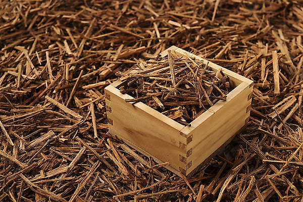 포토 JPG 스튜디오촬영 실내 사람없음 건강식품 건강식 웰빙음식 되 많음 슈퍼푸드 해죽순 국내포토 웰빙 음식 컨셉 건강 내부 파일형식