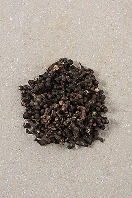 포토 JPG 스튜디오촬영 열매 실내 누끼 근접촬영 사람없음 하이앵글 건강식품 건강식 웰빙음식 헛개나무 플랫레이 슈퍼푸드 헛개나무열매 국내포토 식물 웰빙 음식 뷰포인트 건강 내부 한약재 플랫 파일형식