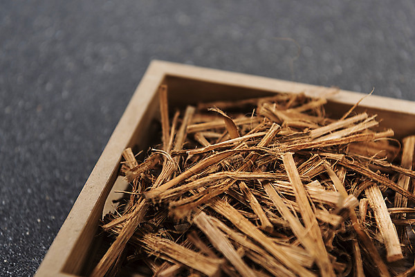 포토 JPG 스튜디오촬영 회색배경 실내 근접촬영 사람없음 담기 건강식품 건강식 웰빙음식 되 슈퍼푸드 해죽순 국내포토 웰빙 음식 뷰포인트 백그라운드 모션 건강 내부 회색 파일형식