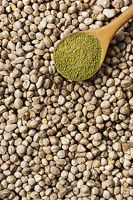 포토 JPG 스튜디오촬영 실내 누끼 근접촬영 사람없음 하이앵글 숟가락 가루 건강식품 건강식 웰빙음식 플랫레이 슈퍼푸드 모링가 국내포토 웰빙 음식 뷰포인트 수저 건강 씨앗 내부 플랫 파일형식