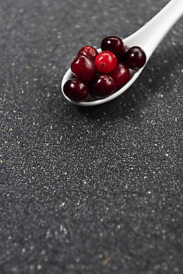 포토 JPG 스튜디오촬영 검은배경 실내 누끼 근접촬영 사람없음 숟가락 건강식품 건강식 웰빙음식 크랜베리 슈퍼푸드 국내포토 웰빙 열매 음식 뷰포인트 백그라운드 수저 건강 내부 검은색 파일형식