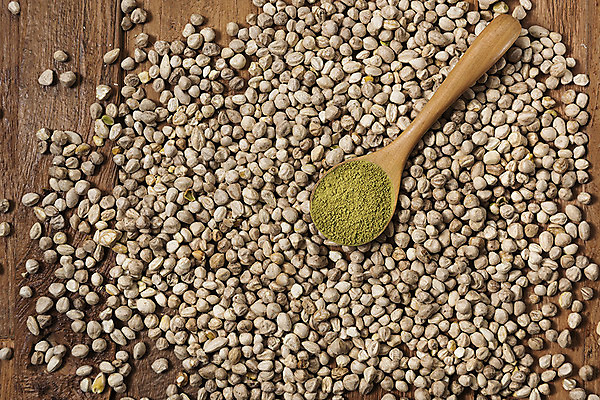 포토 JPG 스튜디오촬영 실내 사람없음 하이앵글 숟가락 가루 건강식품 건강식 웰빙음식 플랫레이 슈퍼푸드 모링가 나무배경 흩어짐 국내포토 웰빙 음식 뷰포인트 백그라운드 컨셉 수저 건강 씨앗 내부 플랫 파일형식