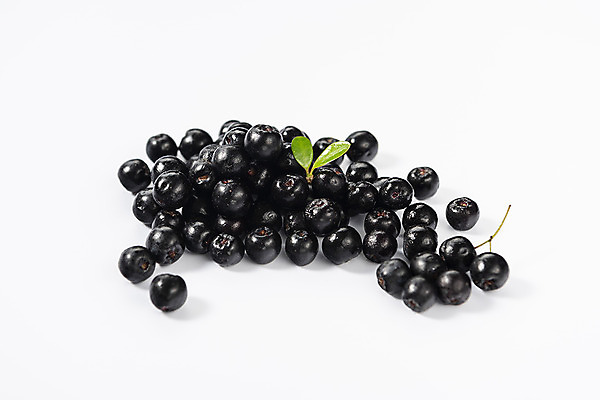 포토 JPG 스튜디오촬영 실내 누끼 근접촬영 사람없음 풀잎 흰배경 건강식품 건강식 웰빙음식 아로니아 슈퍼푸드 국내포토 웰빙 열매 음식 뷰포인트 백그라운드 잎 건강 내부 흰색 풀_식물 파일형식