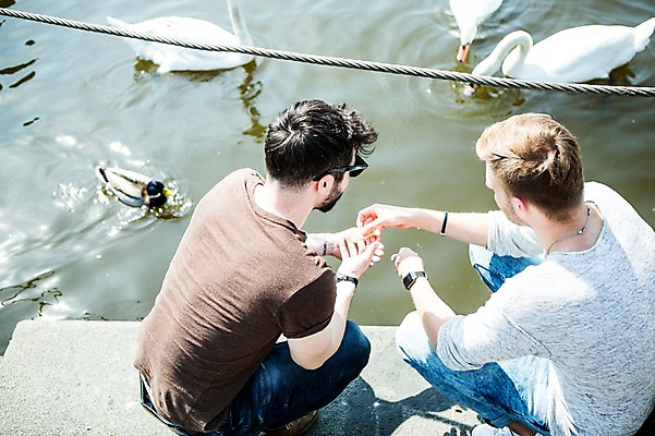 포토 JPG 주간 전신 서양인 외국인 커플 응시 남자 행복 여러마리 사람 앉기 20대 성인 야외 두명 뒷모습 강 다정 백조 동성애자 모이주기 성인남자만 국내포토 자연요소 시선 감정 뷰포인트 다수 컨셉 관계 모션 조류 인종 청년 남자만 성인만 파일형식 성소수자