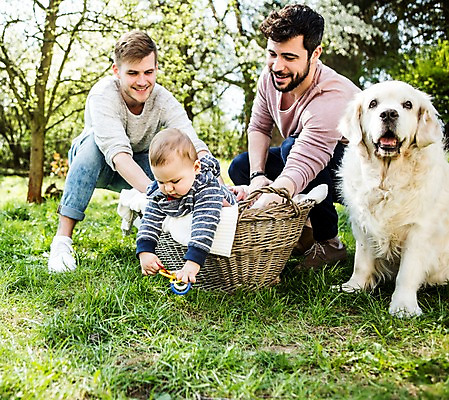 포토 JPG 주간 전신 서양인 외국인 한마리 커플 응시 공원 남자 행복 미소 사람 앉기 잔디 20대 성인 야외 앞모습 세명 바구니 화목 다정 육아 아기 잡기 강아지 동성애자 반려 남자만 국내포토 자연요소 식물 1 시선 공공시설 감정 뷰포인트 컨셉 관계 모션 표정 인종 청년 반려동물 개 파일형식 성소수자
