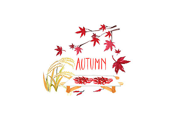 PSD 단풍 일러스트 고추 단풍나무 붓터치 수채화 건조 사람없음 가을풍경 가을 농촌 시골 번짐 평상 벼이삭 국내일러스트 나무 계절 잎 채소 풍경 이삭 파일형식 효과 가을_계절