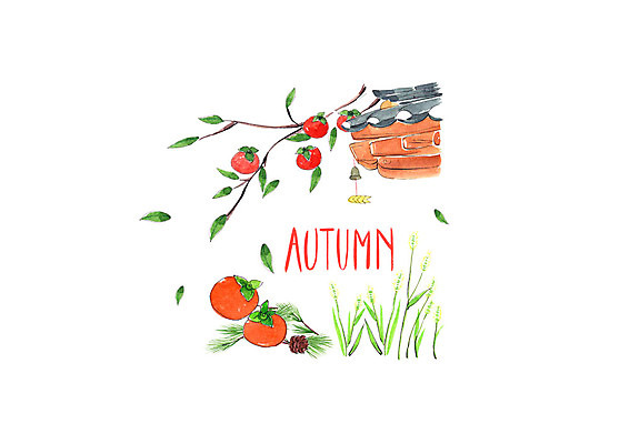 PSD 일러스트 붓터치 나뭇잎 수채화 사람없음 가을풍경 가을 감나무 억새 번짐 처마 솔방울 솔잎 기와지붕 강아지풀 단감 국내일러스트 나무 식물 계절 잎 지붕 기와 감 풍경 한해살이풀 파일형식 효과 가을_계절