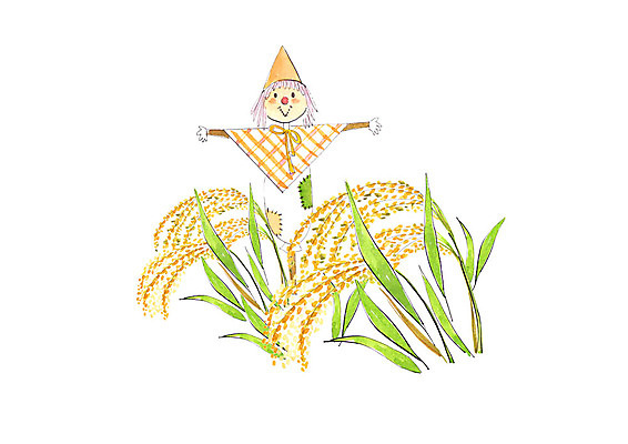 PSD 일러스트 붓터치 수채화 논 사람없음 가을풍경 벼 가을 농촌 시골 허수아비 번짐 벼이삭 국내일러스트 계절 농업 곡류 풍경 이삭 파일형식 효과 가을_계절