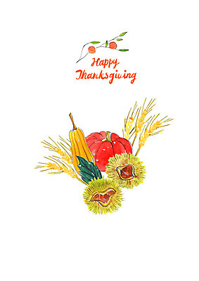 PSD 일러스트 호박 붓터치 나뭇잎 수채화 사람없음 농작물 가을풍경 수확 가을 밤송이 감나무 보리 번짐 추수감사절 늙은호박 보리이삭 국내일러스트 나무 계절 기독교 잎 농업 채소 곡류 감 풍경 밤_견과류 이삭 파일형식 효과 가을_계절