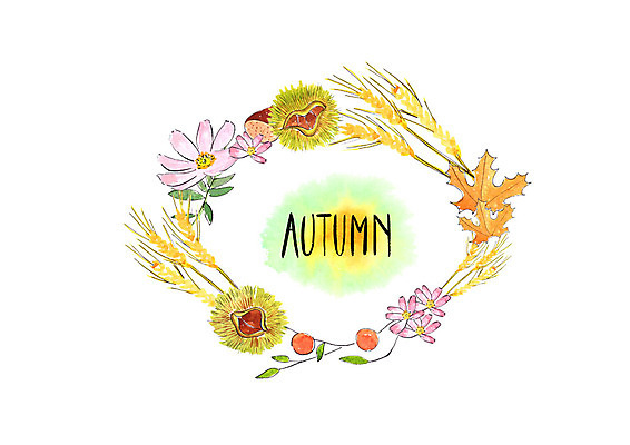 PSD 낙엽 일러스트 붓터치 수채화 사람없음 가을풍경 가을 밤 밤송이 코스모스 보리 번짐 산열매 국내일러스트 계절 열매 꽃 잎 곡류 풍경 견과류 밤_견과류 파일형식 효과 가을_계절