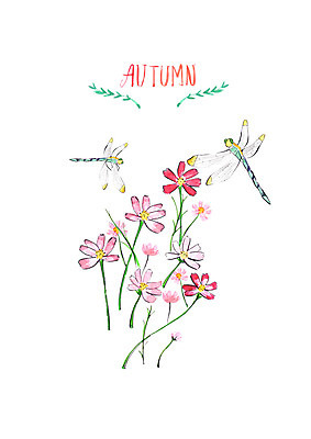 PSD 두마리 꽃밭 일러스트 붓터치 수채화 사람없음 가을풍경 가을 잠자리 코스모스 번짐 국내일러스트 계절 꽃 곤충 2 풍경 파일형식 효과 가을_계절