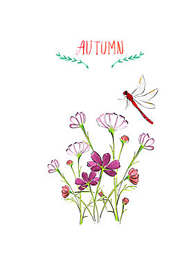 PSD 한마리 꽃밭 일러스트 붓터치 수채화 사람없음 가을풍경 가을 잠자리 코스모스 번짐 국내일러스트 1 계절 꽃 곤충 풍경 파일형식 효과 가을_계절