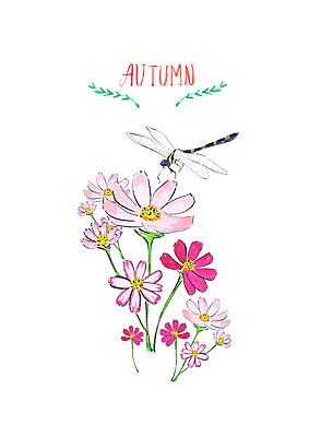 PSD 한마리 꽃밭 일러스트 붓터치 수채화 사람없음 가을풍경 가을 잠자리 코스모스 번짐 국내일러스트 1 계절 꽃 곤충 풍경 파일형식 효과 가을_계절