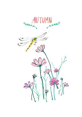 PSD 한마리 꽃밭 일러스트 붓터치 수채화 사람없음 가을풍경 가을 잠자리 코스모스 번짐 국내일러스트 1 계절 꽃 곤충 풍경 파일형식 효과 가을_계절