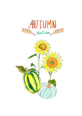 PSD 일러스트 호박 붓터치 해바라기 수채화 사람없음 가을풍경 수확 가을 번짐 늙은호박 국내일러스트 계절 꽃 농업 채소 풍경 파일형식 효과 가을_계절