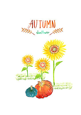 PSD 일러스트 붓터치 해바라기 수채화 사람없음 가을풍경 수확 가을 번짐 늙은호박 국내일러스트 계절 꽃 농업 호박 풍경 파일형식 효과 가을_계절