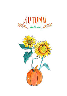 PSD 일러스트 붓터치 해바라기 수채화 사람없음 가을풍경 수확 가을 번짐 늙은호박 국내일러스트 계절 꽃 농업 호박 풍경 파일형식 효과 가을_계절