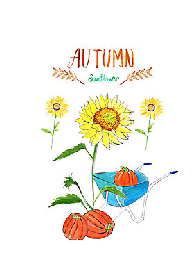 PSD 일러스트 붓터치 해바라기 수채화 사람없음 가을풍경 수레 수확 가을 번짐 추수감사절 늙은호박 국내일러스트 계절 꽃 기독교 농업 호박 풍경 카트 파일형식 효과 가을_계절