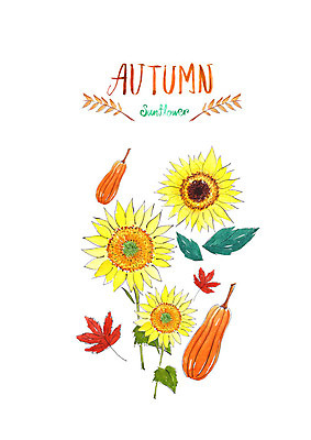 PSD 단풍 일러스트 호박 붓터치 해바라기 수채화 사람없음 가을풍경 여러개 가을 번짐 국내일러스트 계절 꽃 다수 잎 채소 풍경 파일형식 효과 가을_계절