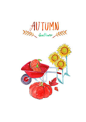 PSD 단풍 일러스트 붓터치 해바라기 수채화 사람없음 가을풍경 여러개 수레 수확 가을 번짐 추수감사절 늙은호박 국내일러스트 계절 꽃 기독교 다수 잎 농업 호박 풍경 카트 파일형식 효과 가을_계절