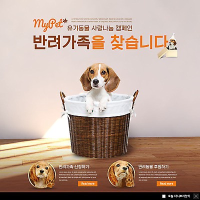 PSD 템플릿 ZIP 캠페인 웹템플릿 여러마리 팝업 이벤트팝업 웹팝업 사랑 이벤트 사람없음 반려동물 상자 바구니 강아지 나무바닥 비글 반려 찾기 후원 빅팝업 이미지템플릿 동물 감정 다수 모션 바닥 도움 개 파일형식