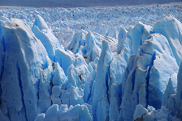 포토 JPG 해외이미지 공원 호수 벽 조각 여행 자연 하늘 추상 파노라마 풍경 사람없음 야외 물 파란색 글로벌 냉동 얼음 미국 추위 흰색 투명 크리스탈 빙하 서리 빙산 고드름 남쪽 아르헨티나 로스앤젤레스 전국 해외202004 해외포토 자연요소 공공시설 컬러 북아메리카 무늬 촬영기법 남아메리카 광석 방향 생태계 파일형식 이미지허브