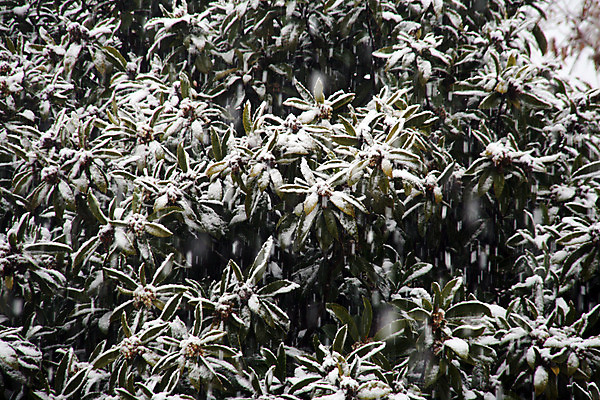 포토 JPG 해외이미지 계절 도로 여행 겨울 자연 스키 주택 풍경 사람없음 울타리 얼음 하이킹 추위 흰색 신선 포르투갈 언덕 웅장함 해외202004 해외포토 자연요소 유럽 길 컬러 교통시설 레저 겨울스포츠 건물 담장 생태계 파일형식 이미지허브