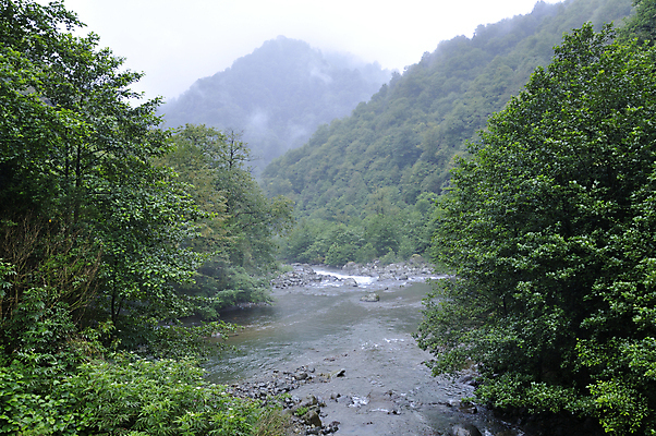 포토 JPG 해외이미지 나무 잎 자연 산 풍경 사람없음 초록색 물 강 폭포 흐름 바위 개울 숲 장면 해외202004 해외포토 자연요소 식물 컬러 컨셉 돌_바위 생태계 파일형식 이미지허브
