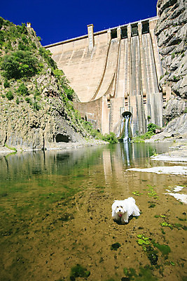 포토 JPG 해외이미지 구름 계절 공원 호수 여행 백그라운드 자연 하늘 표면 날씨 산 풍경 사람없음 야외 초록색 물 여름 파란색 강 반사 맑음 봄 등산 시골 신선 스페인 개 숲 큼 순수 언덕 알프스 스카이라인 보호구역 절정 수평선 해외202004 해외포토 자연요소 공공시설 유럽 컬러 컨셉 포유류 트래킹 크기 생태계 구역 파일형식 이미지허브