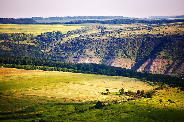 포토 JPG 해외이미지 나무 여행 백그라운드 밭 자연 하늘 풍경 사람없음 야외 여름 햇빛 태양 일출 봄 숲 강가 7월 우크라이나 해외202004 해외포토 자연요소 식물 계절 유럽 농업 강 노을 날짜 생태계 파일형식 이미지허브