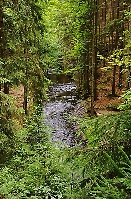 포토 JPG 해외이미지 나무 식물 계절 공원 여행 잎 오렌지 자연 벽지 산 풍경 사람없음 야외 물 강 노란색 평화 환경 침묵 일몰 폭포 젖음 흐름 가을 바위 시간 개울 떨어짐 숲 11월 장면 10월 내추럴 블러 해외202004 해외포토 자연요소 공공시설 컬러 컨셉 과일 노을 소리 돌_바위 날짜 생태계 파일형식 이미지허브