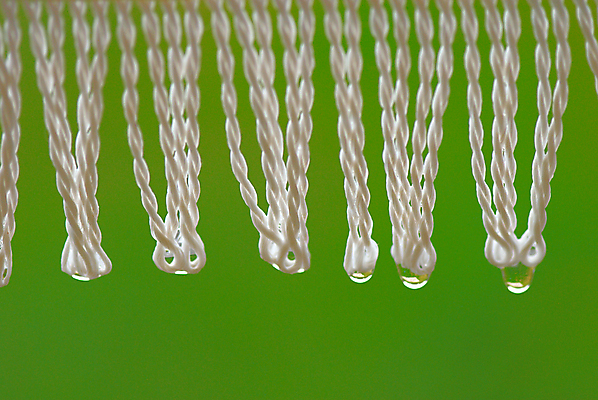 포토 JPG 해외이미지 라이프스타일 백그라운드 우산 날씨 추상 나선형 사람없음 야외 장식 가로 초록색 물 여름 빛 반사 거품 젖음 흰색 물방울 신선 투명 액체 가장자리 떨어짐 보호 이슬 작음 빗방울 구슬 질감 분무기 여의주 해외202004 해외포토 자연요소 계절 컬러 컨셉 무늬 생활 비_날씨 둘레 크기 파일형식 이미지허브