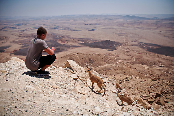 포토 JPG 해외이미지 동물 남자 여행 포유류 자연 하늘 염소 산 뿔 한명 풍경 소년 야외 10대 가로 여름 햇빛 노란색 절벽 뜨거움 중앙 분화구 가뭄 동쪽 슬로프 이스라엘 해외202004 해외포토 1 계절 어린이 컬러 청소년 날씨 스키장 사람 태양 방향 생태계 화산 서아시아 파일형식 이미지허브