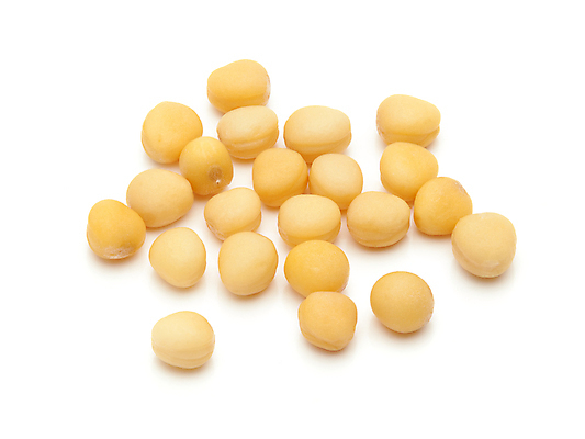 포토 JPG 해외이미지 사람없음 흰색 낟알 향신료 겨자씨 해외202004 해외포토 컬러 씨앗 향미료 파일형식 이미지허브