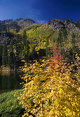 포토 JPG 해외이미지 나무 계절 호수 백그라운드 단풍 잎 패턴 오렌지 자연 풍경 사람없음 야외 목재 빨간색 초록색 물 강 컬러풀 반사 노란색 가을 나뭇가지 시골 개울 황금 숲 장면 10월 내추럴 워싱턴 해외202004 해외포토 자연요소 식물 컬러 무늬 과일 재료 미국 날짜 생태계 파일형식 이미지허브