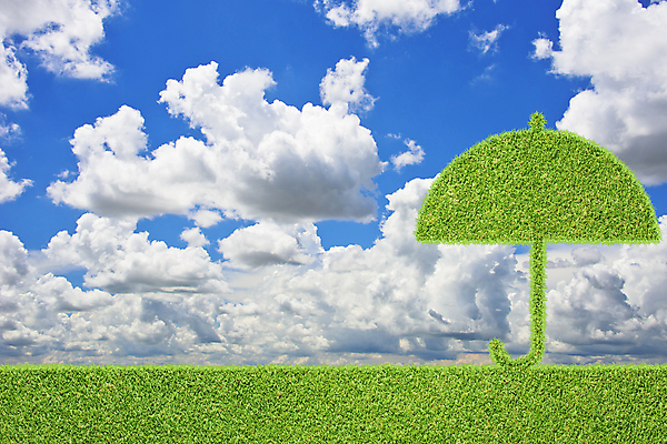 포토 JPG 해외이미지 식물 아이콘 라이프스타일 공원 백그라운드 잎 패턴 밭 우산 자연 벽지 하늘 추상 새로움 프레임 풍경 잔디 사람없음 초록색 파란색 환경 성장 신선 땅 허브 질감 내추럴 그리너리 해외202004 해외포토 공공시설 컬러 컨셉 무늬 농업 생활 생태계 파일형식 트랜드컬러 이미지허브