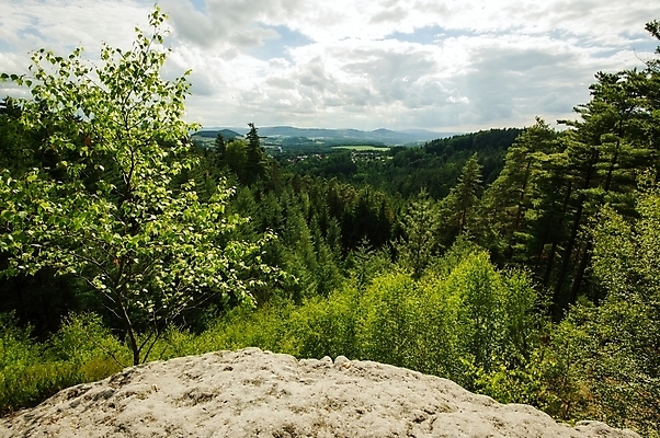 포토 JPG 해외이미지 나무 식물 계절 공원 꽃 밭 농업 자연 하늘 풍경 사람없음 초록색 여름 파란색 빛 농장 노란색 환경 시골 숲 땅 언덕 장면 체코 내추럴 수평선 해외202004 해외포토 공공시설 유럽 산업 컬러 생태계 파일형식 이미지허브