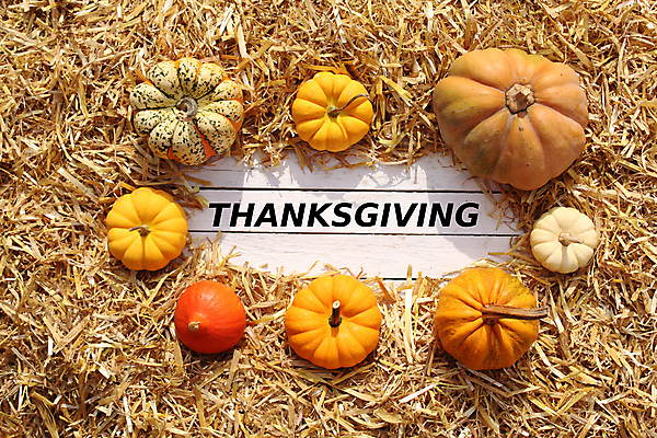 포토 JPG 해외이미지 계절 음식 백그라운드 채소 자연 호박 프레임 사람없음 목재 장식 컬러풀 수확 가을 판넬 9월 홋카이도 추수감사절 밀짚 10월 내추럴 채식주의자 해외202004 해외포토 나무 기독교 컬러 농업 재료 일본 날짜 짚 생태계 채식 파일형식 이미지허브