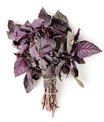 포토 JPG 해외이미지 줄 음식 잎 재료 사람없음 초록색 흰색 신선 양념 달콤 다발 허브 보따리 흰배경 바질 고립 해외202004 해외포토 식물 컬러 백그라운드 맛 파일형식 이미지허브