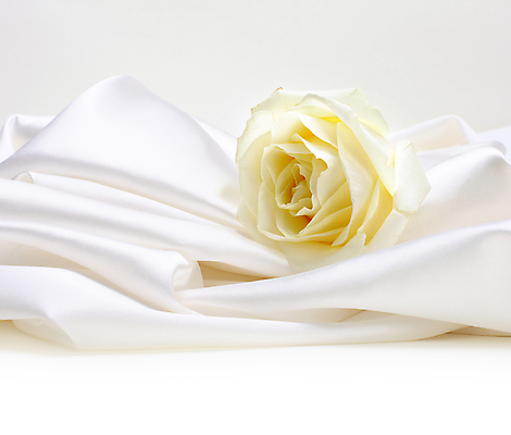 포토 JPG 해외이미지 옷 꽃 파도 결혼 백그라운드 패턴 곡선 텍스트 추상 사람없음 장식 빛 장미 흰색 직물 커튼 우아함 매끈함 실크 꽃봉오리 질감 부드러움 카피스페이스 해외202004 해외포토 식물 선 바다 컬러 컨셉 무늬 이벤트 공백 감각 파일형식 이미지허브