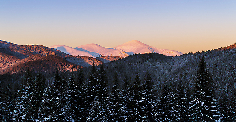 포토 JPG 해외이미지 나무 계절 분홍색 여행 겨울 오렌지 자연 하늘 아침 산 그림자 풍경 사람없음 야외 빛 햇빛 일출 새벽 황무지 정상 숲 그늘 고도 언덕 산등성이 서리 지역 스카이라인 산악지대 삼림지대 우크라이나 절정 눈내림 가문비나무 해외202004 해외포토 주간 자연요소 식물 유럽 컬러 과일 눈_날씨 태양 노을 생태계 파일형식 이미지허브