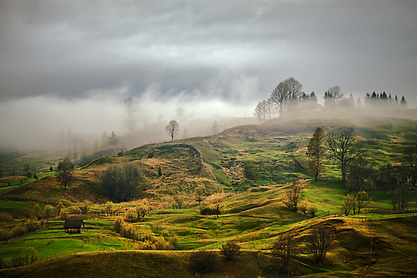 포토 JPG 해외이미지 나무 구름 도로 밭 자연 하늘 아침 산 주택 풍경 사람없음 초록색 햇빛 농경지 갈색 노란색 마을 일출 계곡 봄 안개 시골 숲 4월 언덕 우크라이나 해외202004 해외포토 주간 자연요소 식물 계절 유럽 길 컬러 농업 교통시설 날씨 건물 태양 농장 노을 날짜 생태계 파일형식 이미지허브